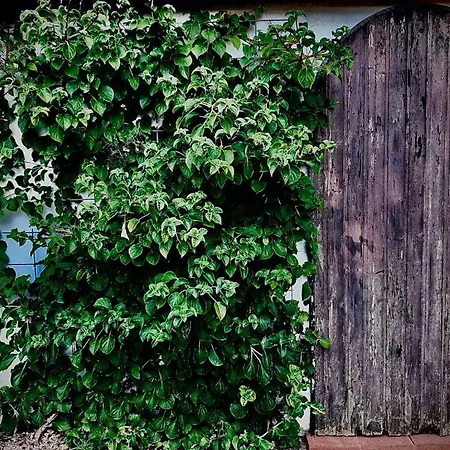 Σπίτι διακοπών Haus Lisa Neustadt in Holstein