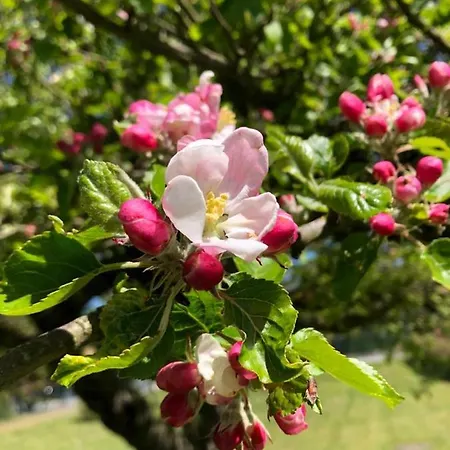 Haus Lisa Σπίτι διακοπών